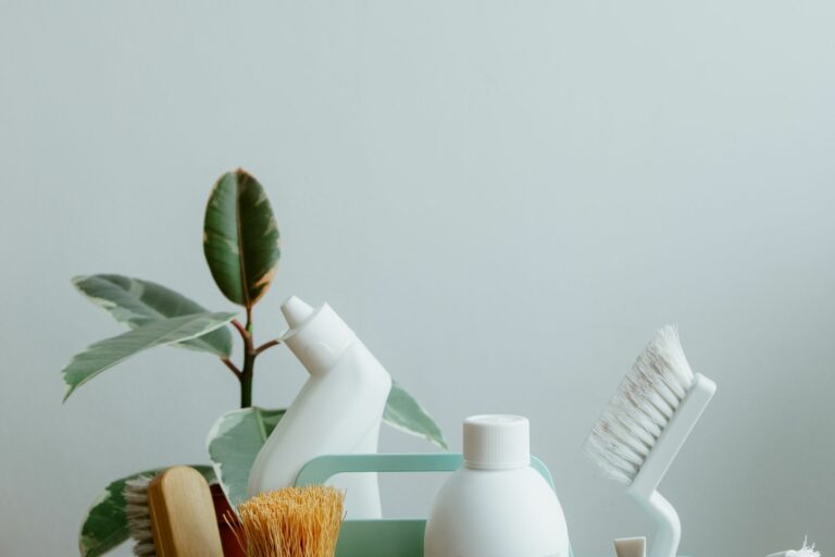 Panier de produits ménagers doux et naturels avec brosses en bois et plante verte